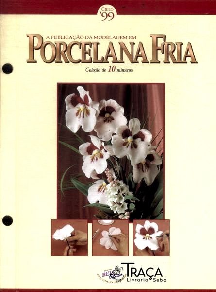A Publicação da Modelagem em Porcelana Fria (10 Fascículos)