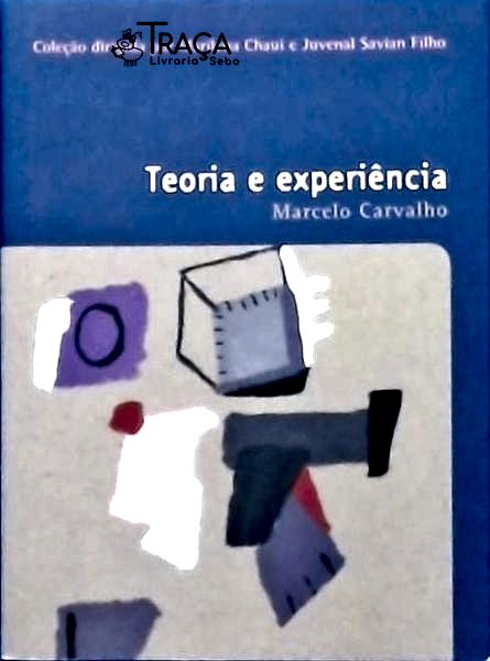 Teoria E Experiência