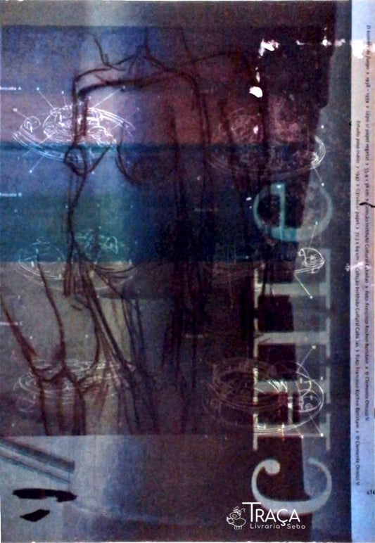 4ª Bienal do Mercosul