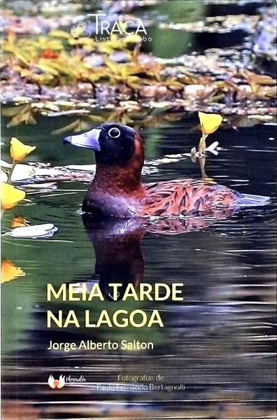 Meia Tarde Na Lagoa