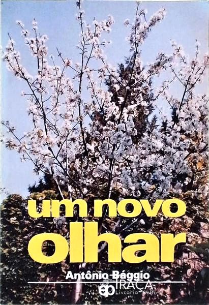 Um Novo Olhar