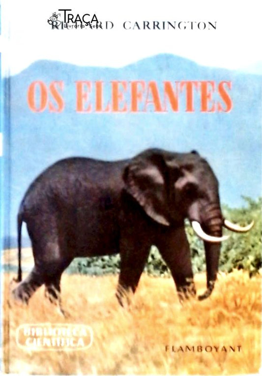 Os Elefantes