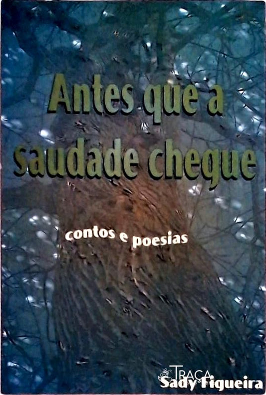 Antes que a Saudade Chegue