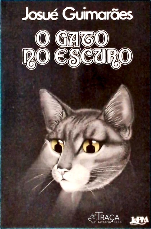 O Gato no Escuro