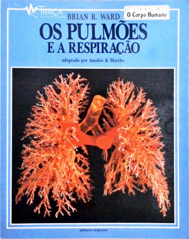 Os Pulmões e a Respiração