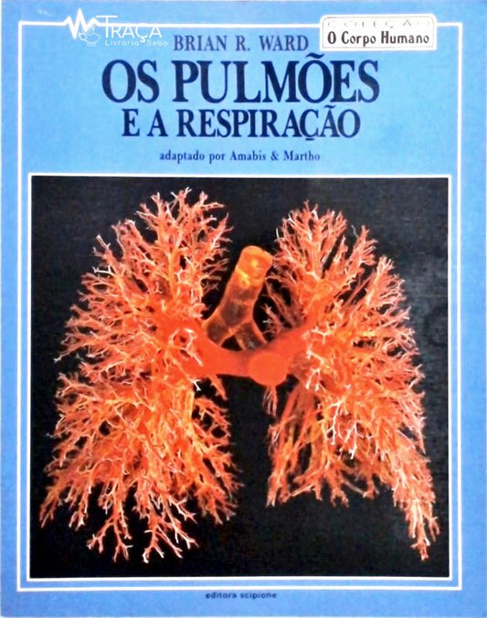 Os Pulmões e a Respiração