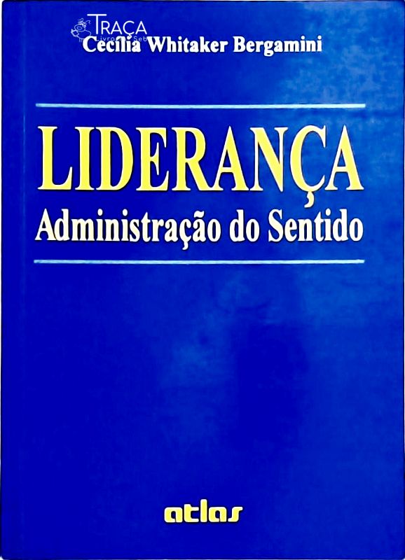 Liderança - Administração do Sentido