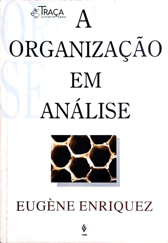 A Organização em Análise