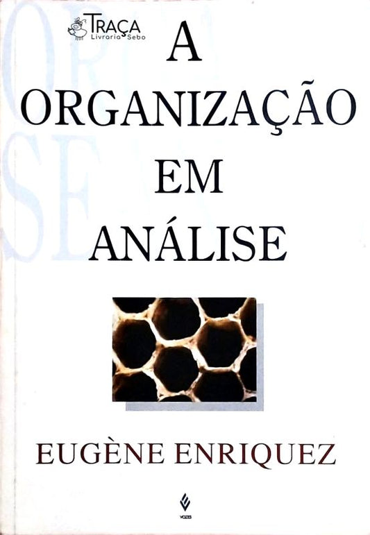 A Organização em Análise