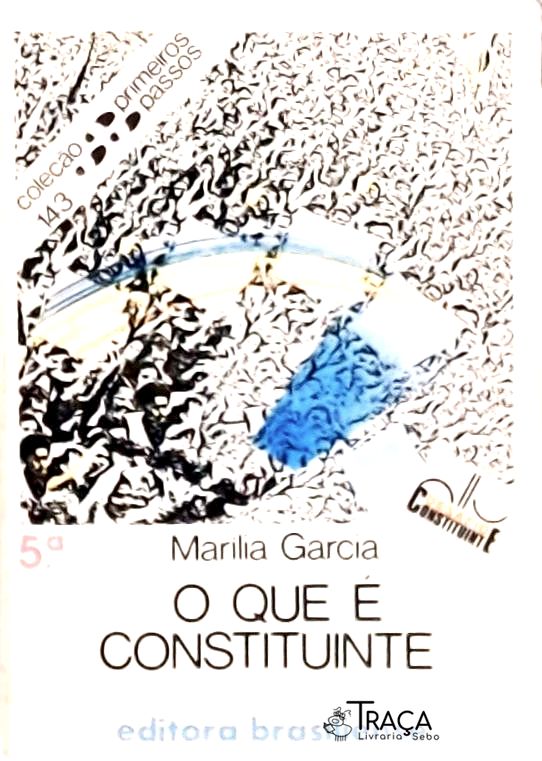 O Que é Constituinte