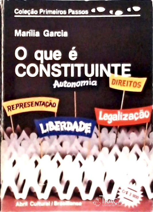 O Que é Constituinte