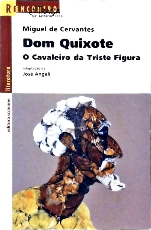 Dom Quixote - O Cavaleiro Da Triste Figura (adaptado)