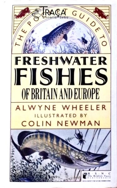 Freshwater Fishes Of Britain And Europe