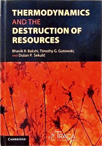 Thermodynamics And The Destruction Of Resources