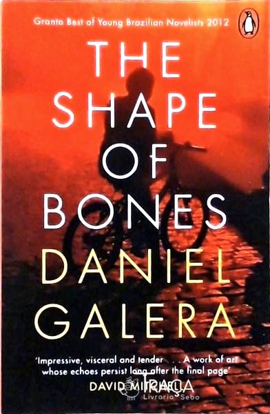 The Shape Of Bones