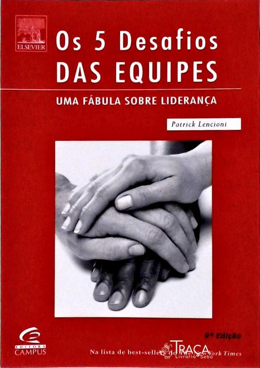 Os 5 Desafios das Equipes