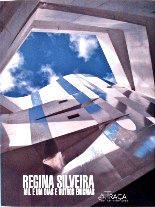 Regina Silveira - Mil e Um Dias e Outros Enigmas
