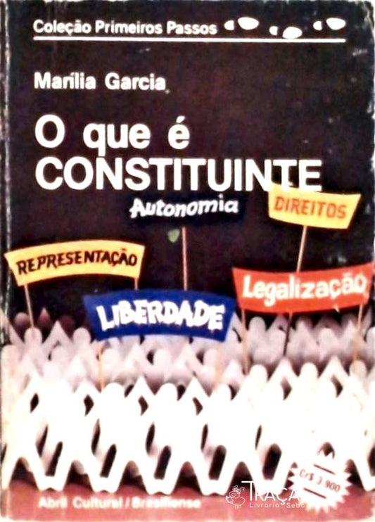 O Que é Constituinte