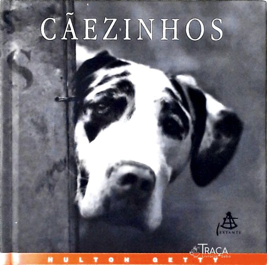Cãezinhos - Uma Celebração Fotográfica