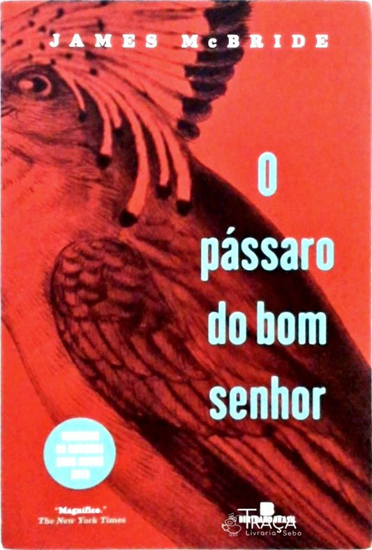 O Pássaro do Bom Senhor