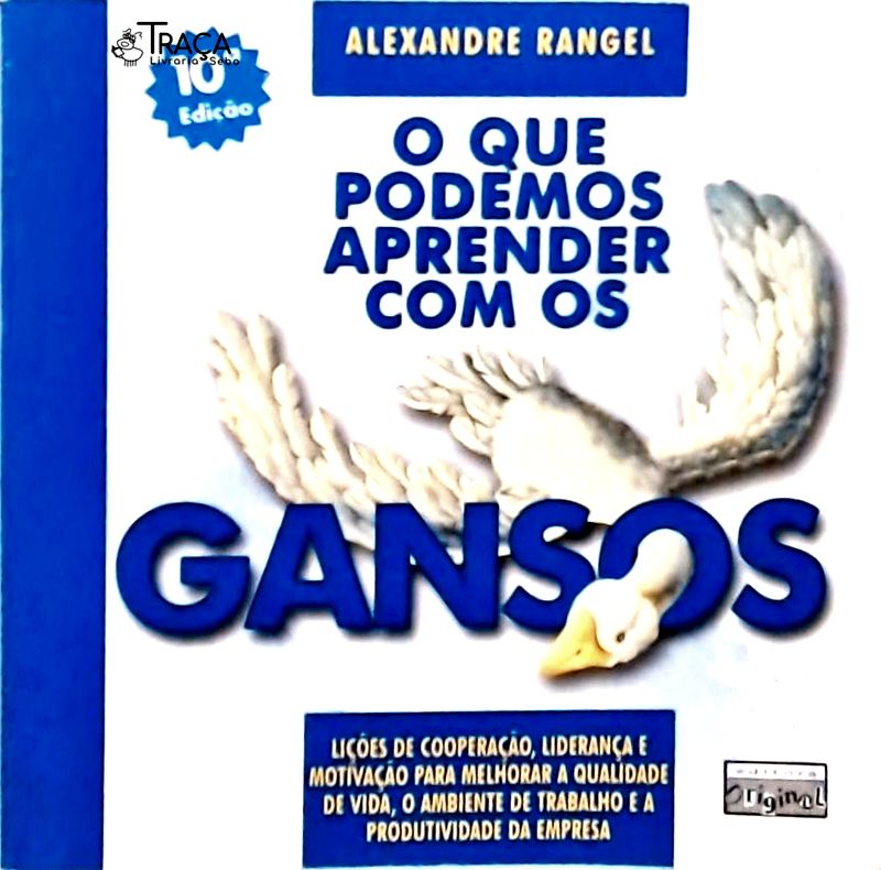 O Que Podemos Aprender com os Gansos