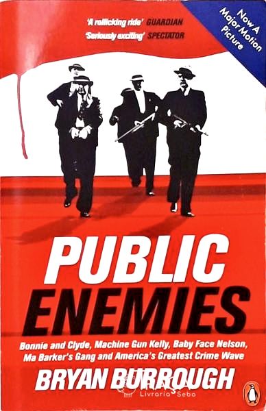 Public Enemies