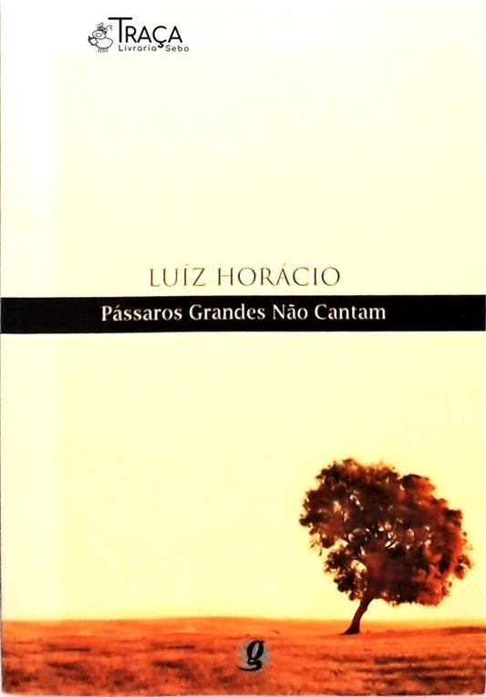 Pássaros Grandes Não Cantam