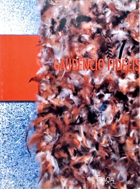 Gaudêncio Fidelis - Geometrias do Entrevisto