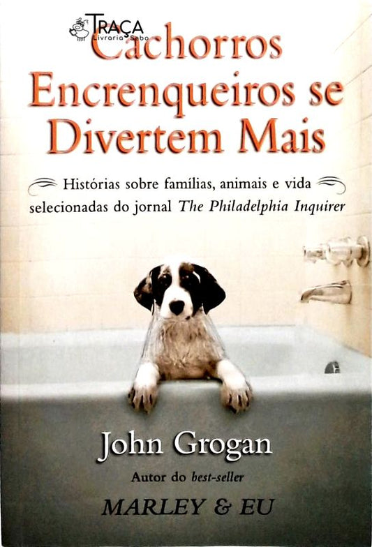 Cachorros Encrenqueiros Se Divertem Mais