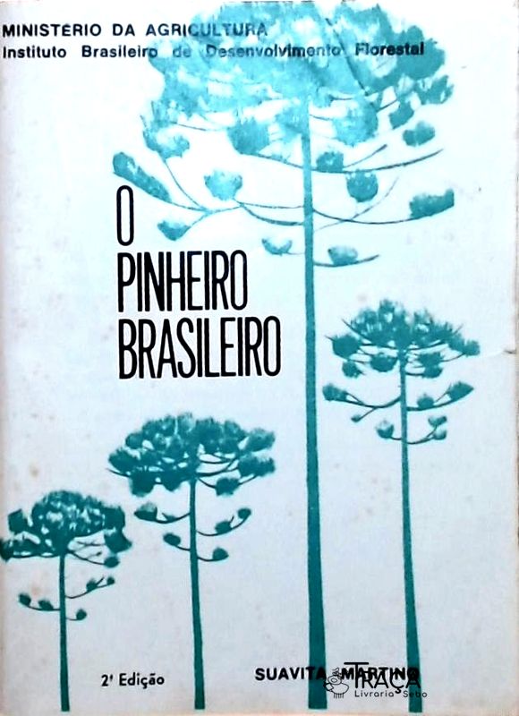 O Pinheiro Brasileiro