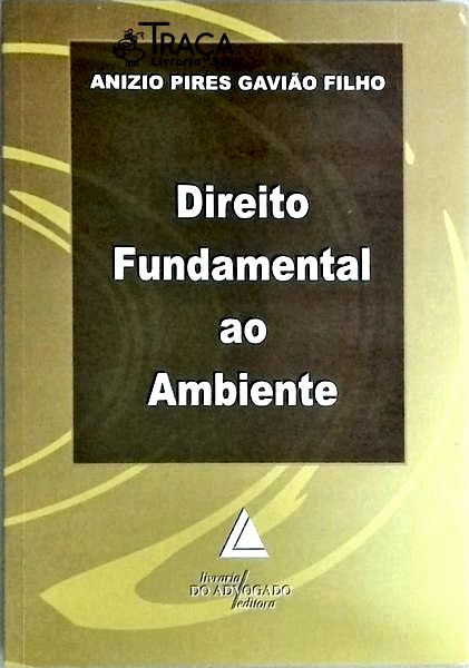 Direito Fundamental Ao Ambiente