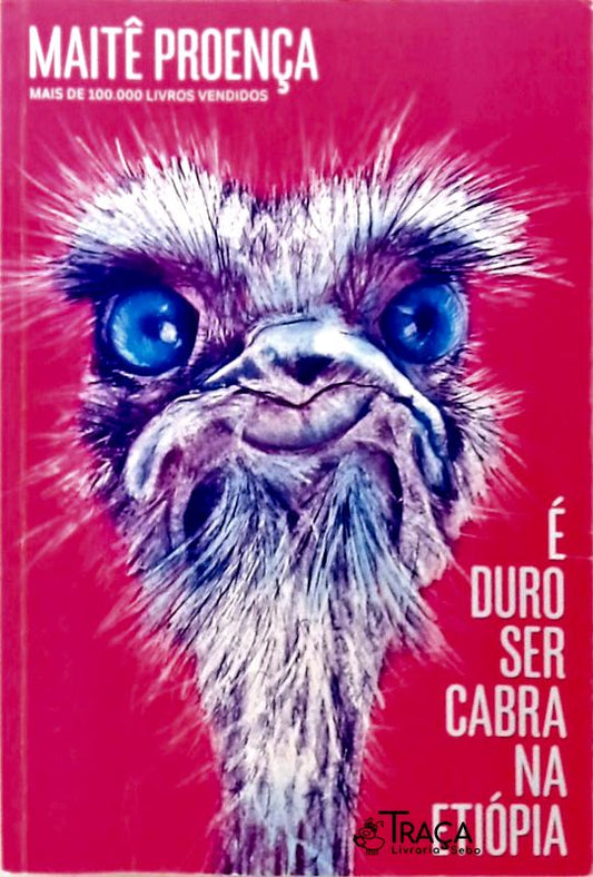 É Duro Ser Cabra Na Etiópia