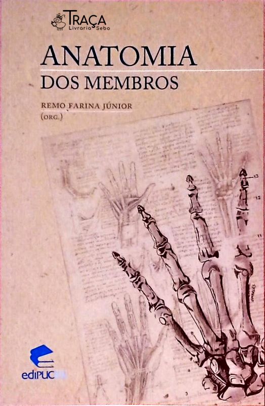 Anatomia dos Membros