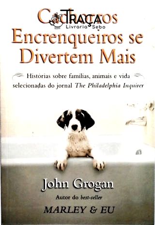 Cachorros Encrenqueiros Se Divertem Mais
