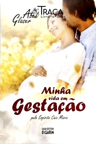 Minha Vida em Gestação
