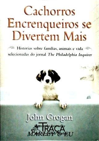 Cachorros Encrenqueiros Se Divertem Mais
