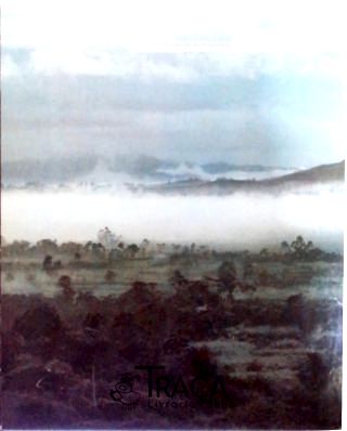 Nova Guiné