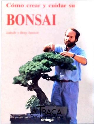 Como Crear Y Cuidar Su Bonsai