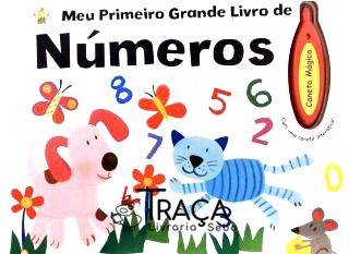Meu Primeiro Grande Livro de Números