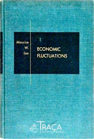 Economic Fluctuations