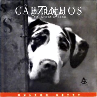 Cãezinhos - Uma Celebração Fotográfica