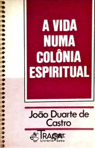 A Vida Numa Colônia Espiritual