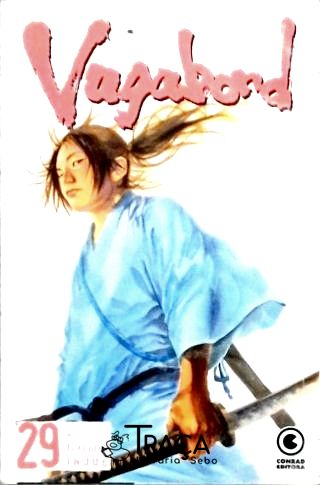 Vagabond Vol 29