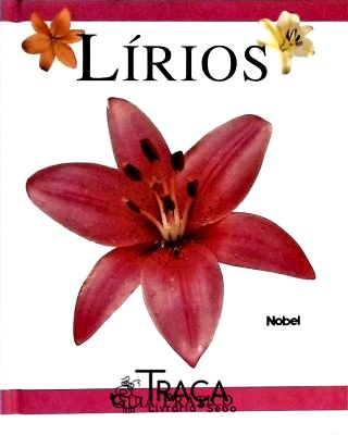 Lírios - Guia Prático