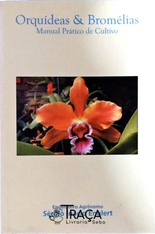 Orquídeas e Bromélias