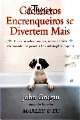 Cachorros Encrenqueiros Se Divertem Mais