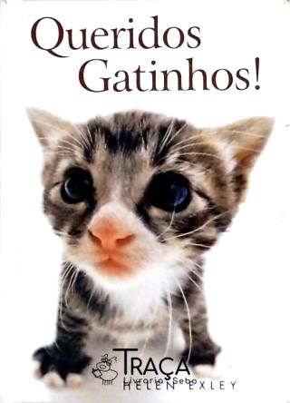 Queridos Gatinhos!