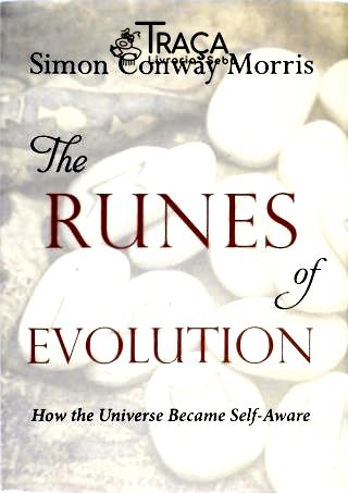 The Runes Of Evolution