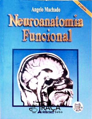 Neuroanatomia Funcional