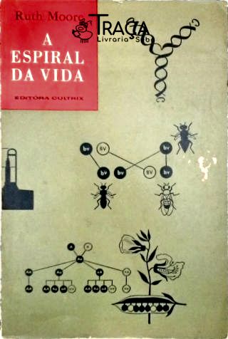 A Espiral da Vida